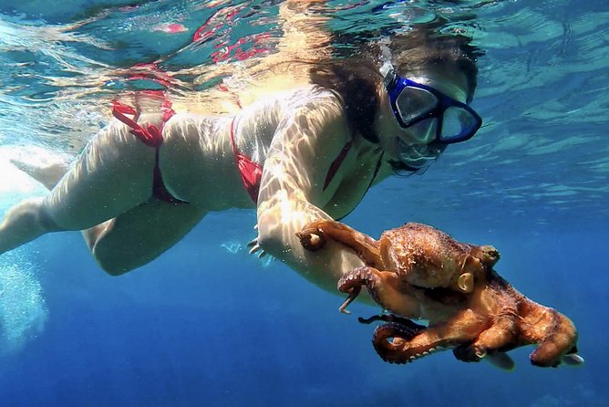 Island Vis Discovery Day Tour From Hvar - Directions and Booking Information