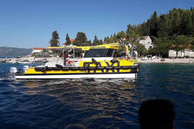 Island Vrnik - Yellow Taxi Cat - The Sum Up