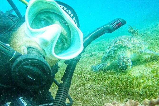 Island Wreck and Reef Scuba Excursion - Good To Know