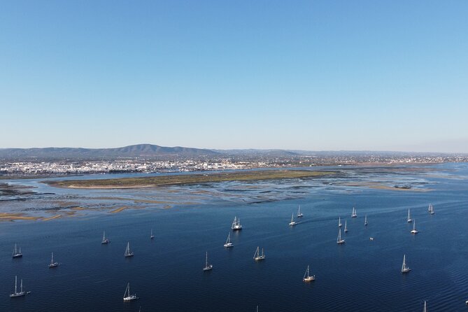 Islands Tour: Half Day Cruise in Ria Formosa National Park - Lunch in the Fishing Village of Cultura