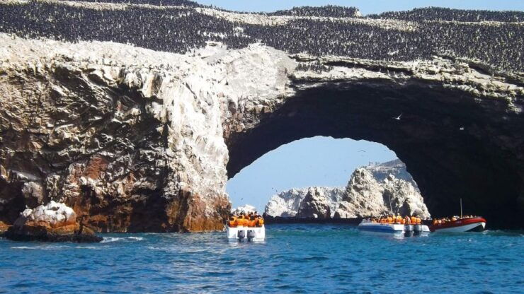 Islas Ballestas Boat Tour - The Galapagos of Peru - Booking Details
