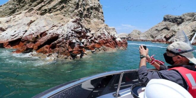 Islas Ballestas Boat Tour - The Galapagos of Peru - Islands Description