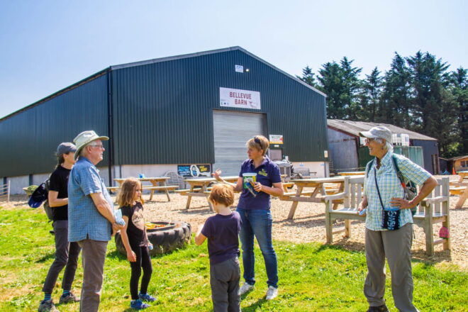 Isle of Arran: Exclusive Private Farm Tour With the Farmer - Animal Interaction