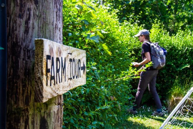 Isle of Arran: Exclusive Private Farm Tour With the Farmer - Sustainable Practices