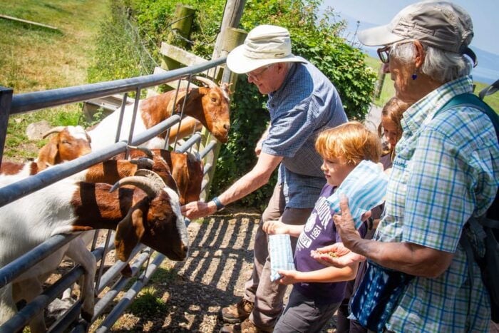 Isle of Arran: Farm Experience Entry Ticket - Accessibility and Family-Friendly Features