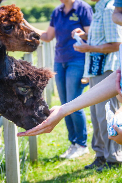 Isle of Arran: Farm Tour - Facilities and Amenities