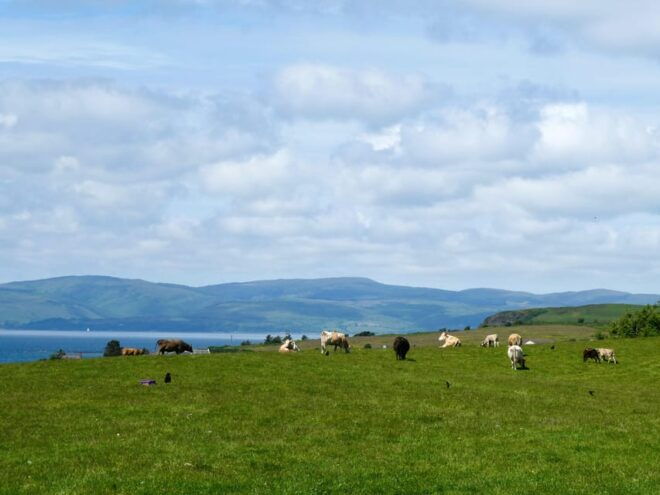 Isle of Arran: Self Guided Farm Experience - Facilities and Amenities