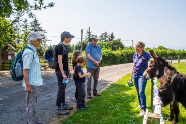 Isle of Arran: Self Guided Farm Experience - Frequently Asked Questions