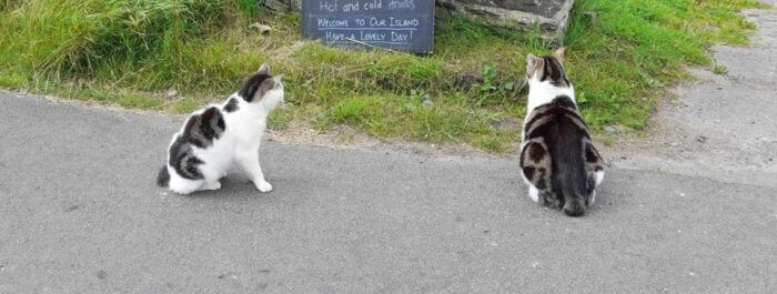 Isle of Man: Discovery Tour. A whistle stop all Island Tour. - Final Thoughts