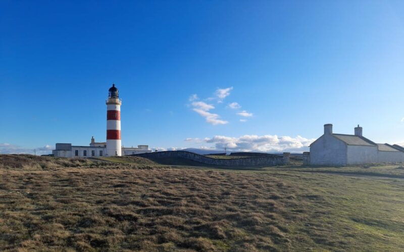 Isle of Man: Half Day Wildlife Adventure Tour - Exploring the Isle of Man: A Half-Day Wildlife Adventure