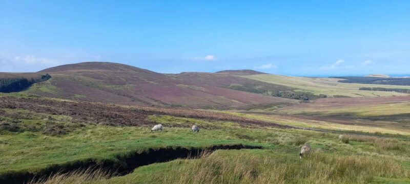 Isle of Man: Half Day Wildlife Adventure Tour - The Itinerary in Detail