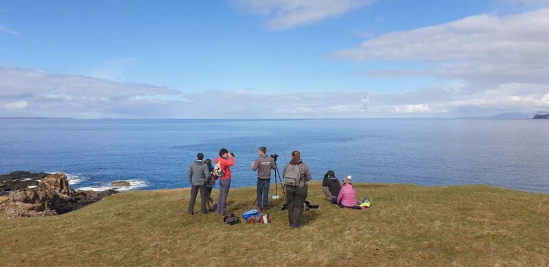 Isle of Mull: Guided Wildlife Watch at Glengorm Castle - The Value of the Tour