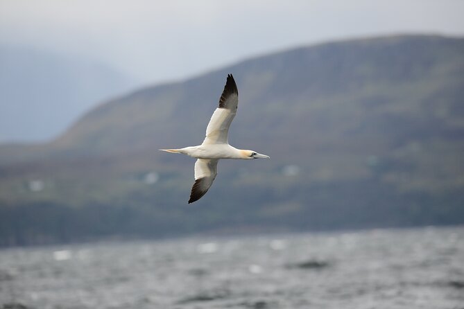 Isle of Sky Wildlife Photography Experience  - Scotland - What to Expect