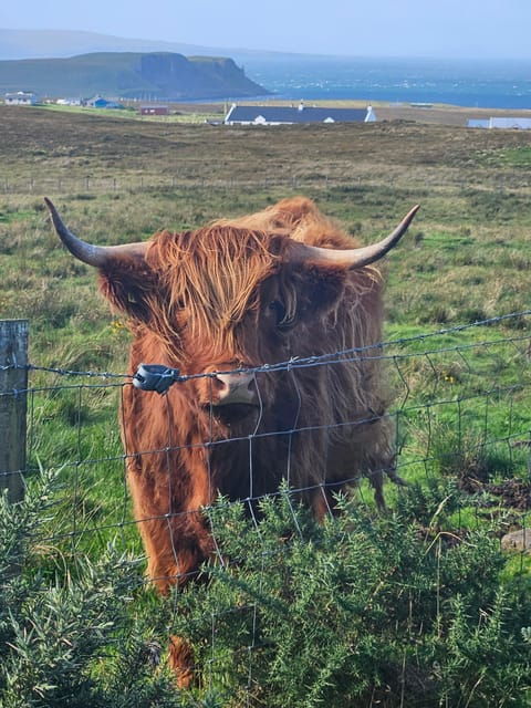 Isle of Skye: Tour the Highlights and Hidden Beauties. - Experience Highlights