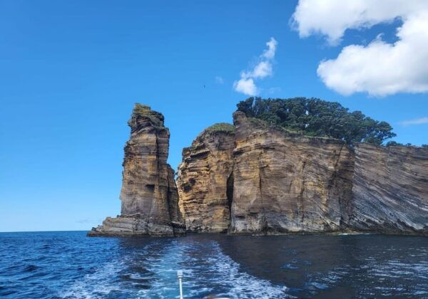 Islet Tour - Ilheu De Vila Franca Do Campo - Frequently Asked Questions