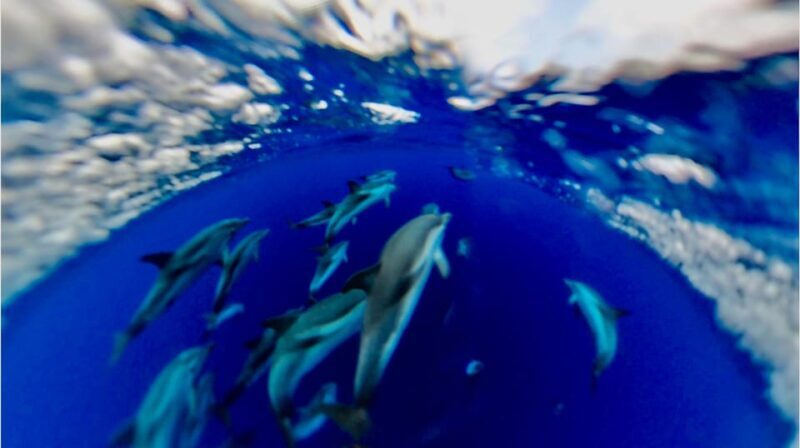 Isola Bella-Blue Grotto: Boat Tour, Snorkeling & Aperitif - FAQ