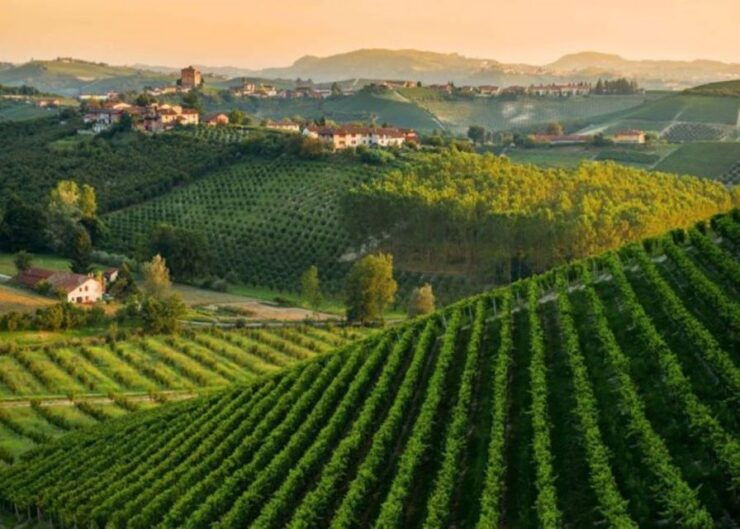 Isola D'asti: Piedmont Wine Tasting Walking Tour - Experience Highlights