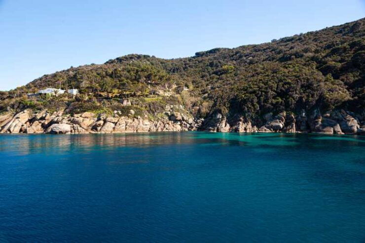 Isola Del Giglio: Boat Round Trip With Snorkeling - Good To Know