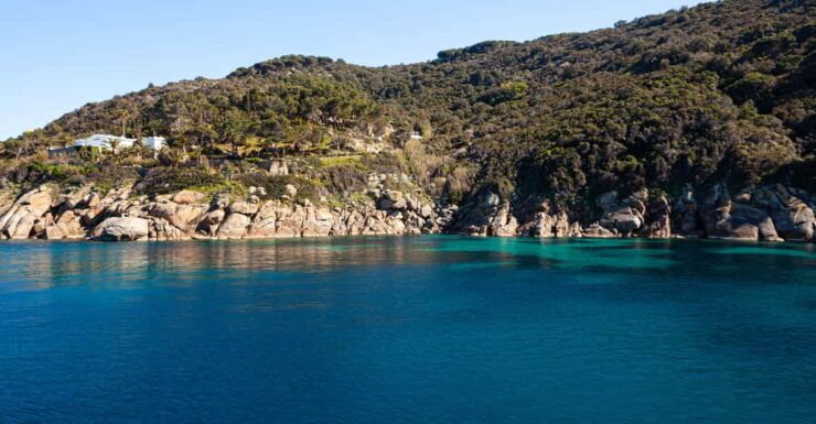 Isola Del Giglio: Boat Round Trip With Snorkeling - Itinerary and Schedule