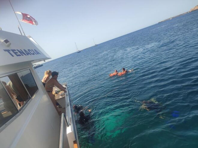 Isole Egadi: Day Sea Cruise Whit Tasting Local Food - Itinerary