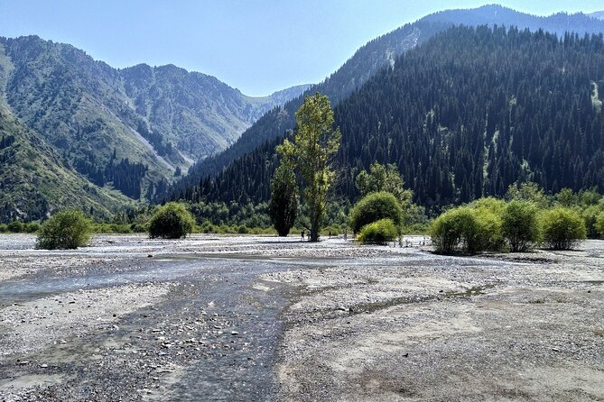 Issyk Lake & Bear Waterfall in Turgen Gorge + Golden Man Museum Day Tour - Customer Reviews and Recommendations
