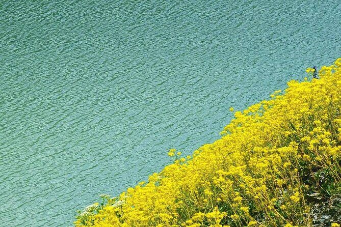 Issyk Lake & Bear Waterfall In Turgen Gorge+Golden Man museum - Authentic Insights from Past Travelers