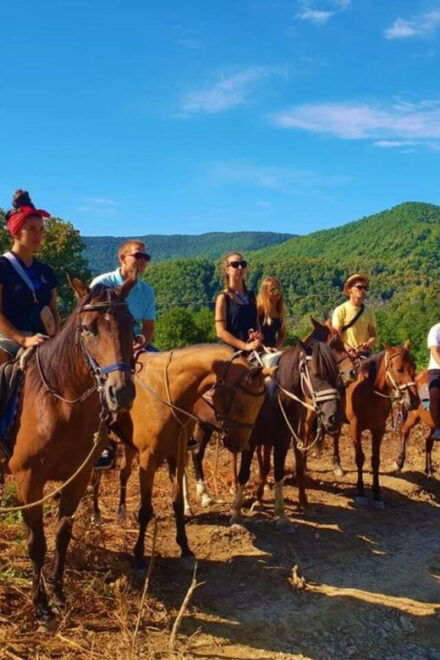 Istanbul: 1 Hours Horse Riding With Trained Horses - Benefits of Horse Riding