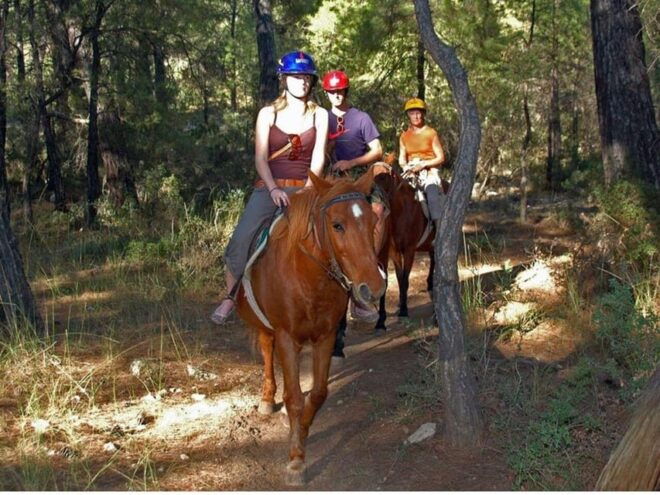 Istanbul: 1 Hours Horse Riding With Trained Horses - Booking Process