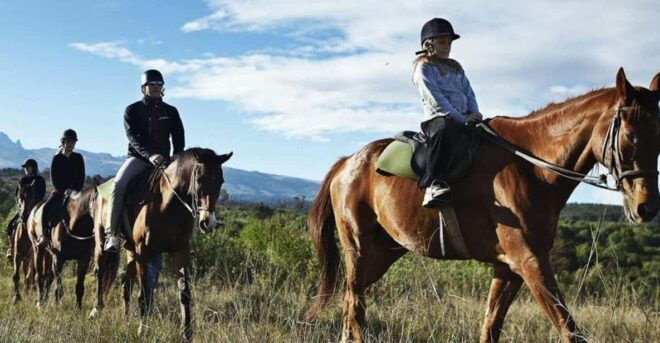 Istanbul: 1 Hours Horse Riding With Trained Horses - Cancellation Policy
