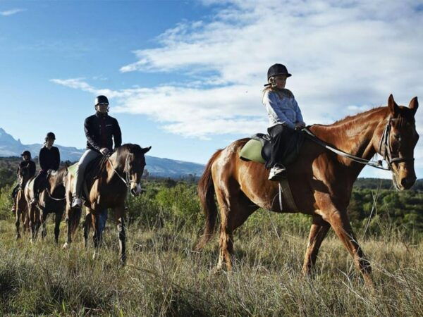 Istanbul: 1 Hours Horse Riding With Trained Horses - What to Bring