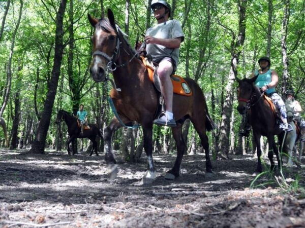 Istanbul: 1 Hours Horse Riding With Trained Horses - Meeting Point Details