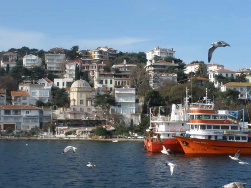 Istanbul 3 Island Cruise with Lunch & Free Time - Value for Money and Practical Tips