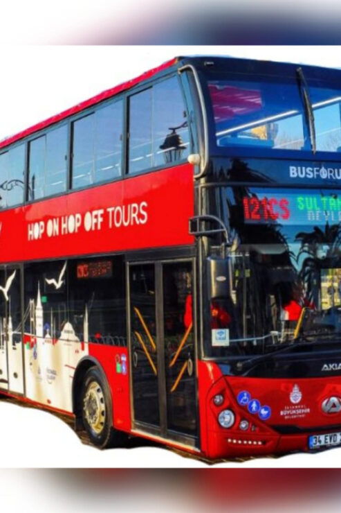 Istanbul: 48-Hour Hop-On Hop-Off Double Decker Bus Ticket - Experience the Tour