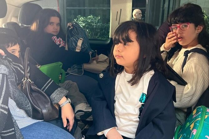 Istanbul Airport Transfers to Asian Side of Istanbul Hotels - Price Information