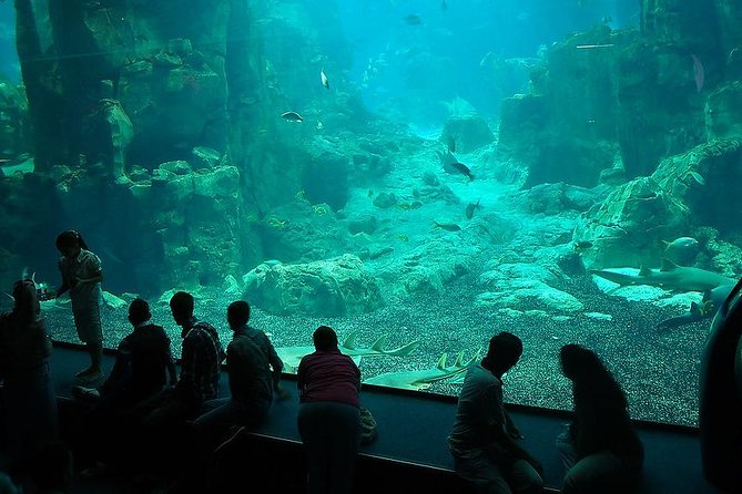 Istanbul Aquarium and Aqua Florya Independent Shopping Trip - Optional Experiences and Leisure Time