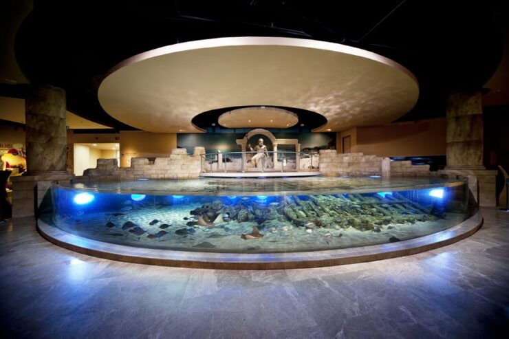 Istanbul Aquarium and Aqua Florya Shopping Mall Tour - Activity Details