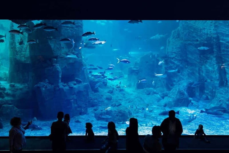 Istanbul: Aquarium Ticket and Round Trip Shuttle from Taksim - Additional Tips