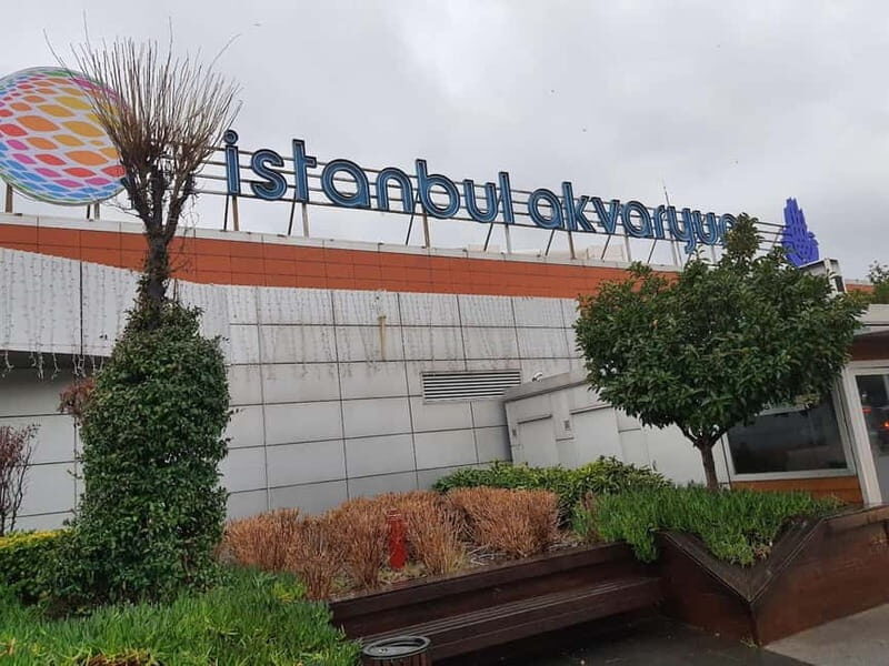 Istanbul: Aquarium Ticket and Round Trip Shuttle from Taksim - The Sum Up