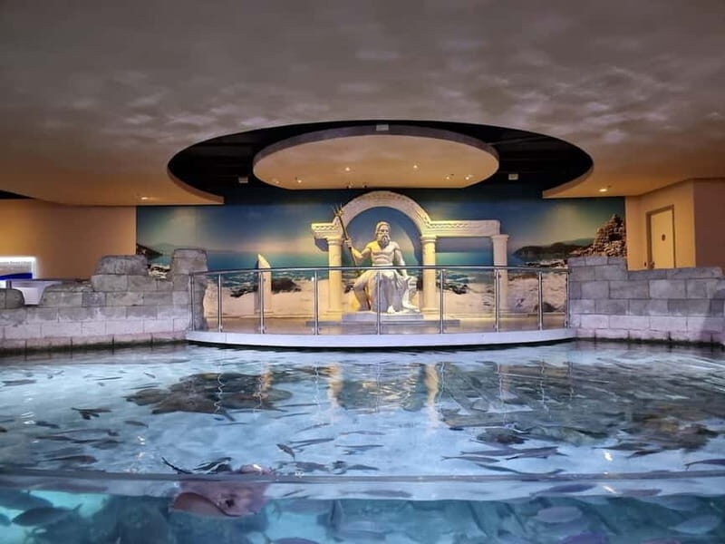 Istanbul: Aquarium Ticket and Round Trip Shuttle from Taksim - Who Is This Tour Best For?