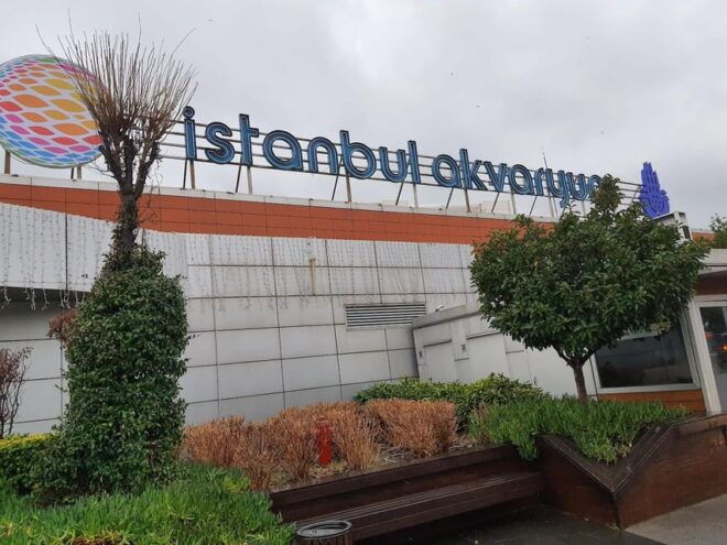 Istanbul: Aquarium Ticket and Round Trip Shuttle From Taksim - Visitor Age Requirements