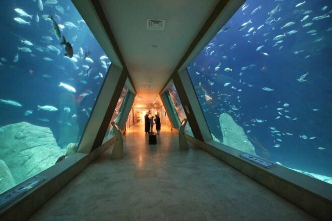 Istanbul: Aquarium Ticket and Round Trip Shuttle From Taksim - Meeting Point Information