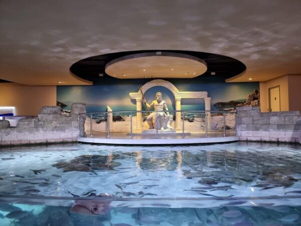 Istanbul: Aquarium Ticket and Round Trip Shuttle From Taksim - Customer Ratings and Reviews