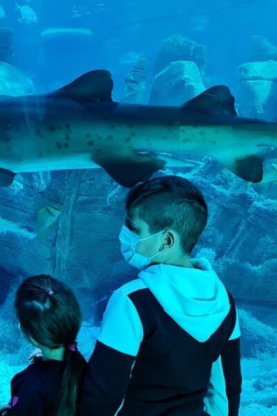Istanbul: Aquarium Ticket and Round Trip Shuttle From Taksim - Cancellation Policy