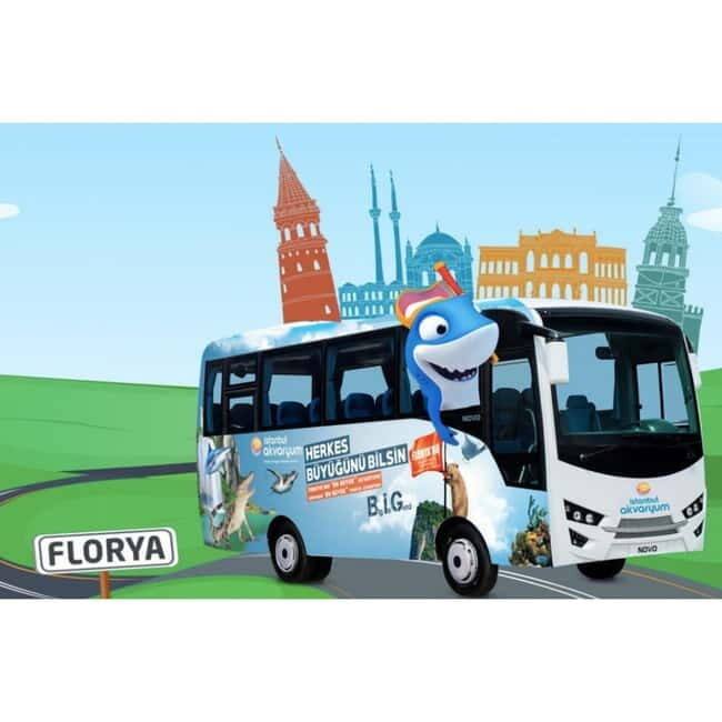 Istanbul: Aquarium Ticket with Shuttle Bus from Sultanahmet - Good To Know
