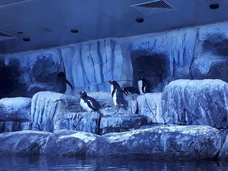 Istanbul: Aquarium Ticket with Shuttle Bus from Sultanahmet - FAQ