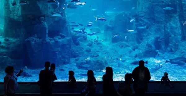 Istanbul: Aquarium Ticket With Shuttle Bus From Sultanahmet - Nearby Attractions to Explore
