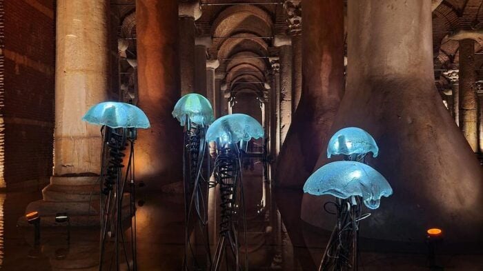 Istanbul: Basilica Cistern Skip-the-Line Entry Ticket - Who Should Book This?