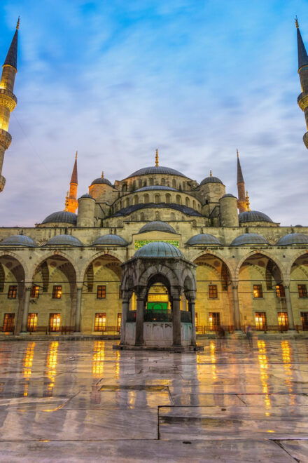 Istanbul: Bespoke Tour With Guide and Skip-The-Line Entries - Customer Reviews