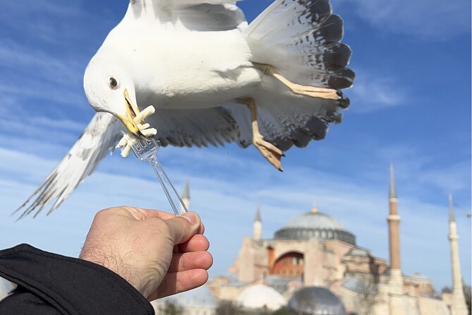 Istanbul: Best of the City Full-Day Tour With Transfers - Traveler Photos