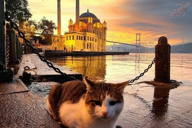 Istanbul Beyond the Top Attractions Full-Day Small-Group Tour - Overall Experience